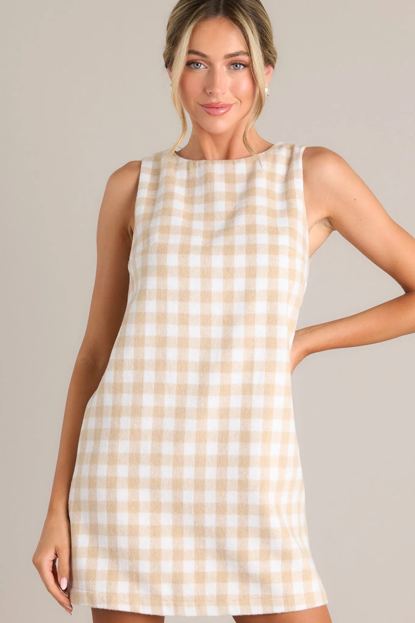 Choosing Joy Beige Plaid Dress