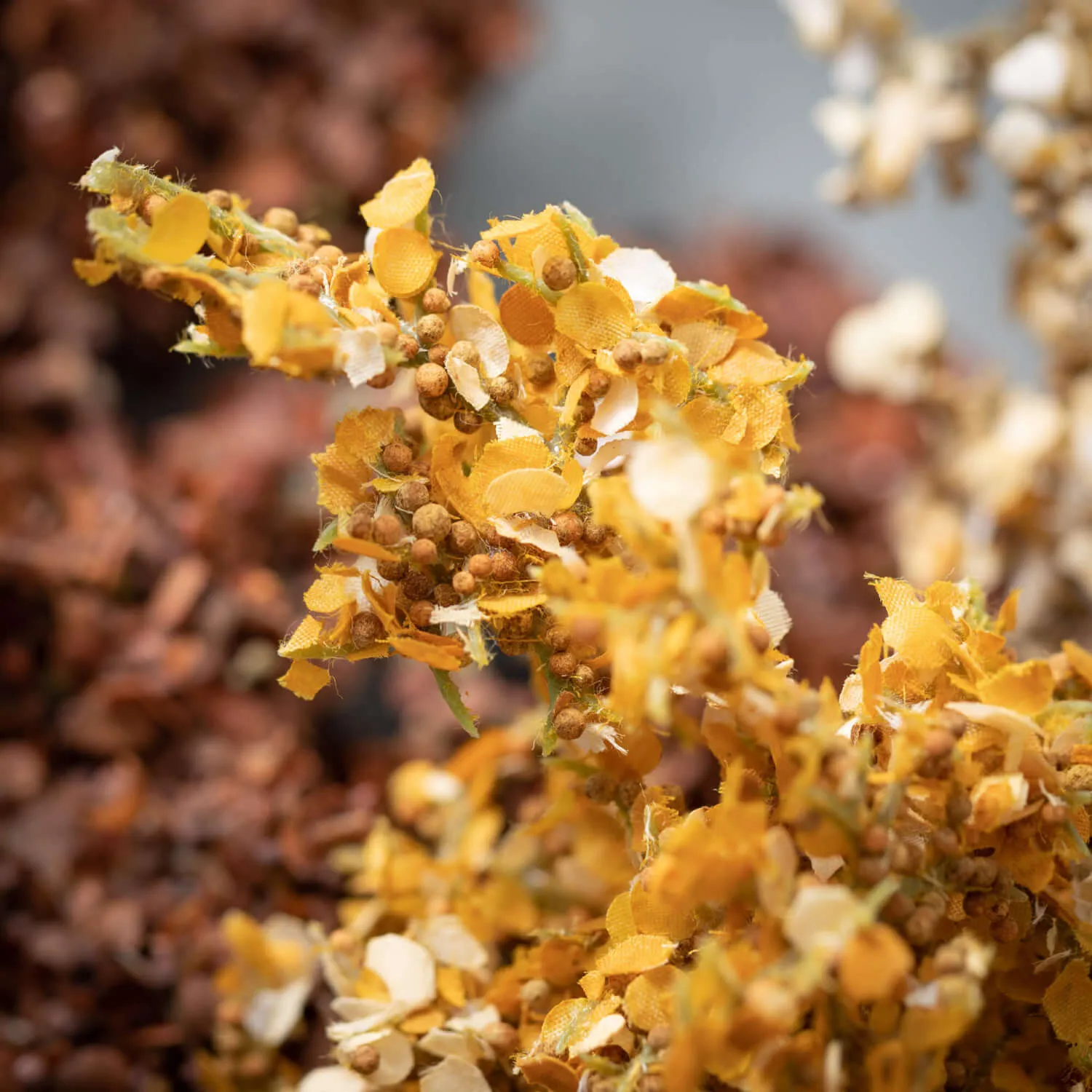 Faux Dried Autumn Seed Sprays