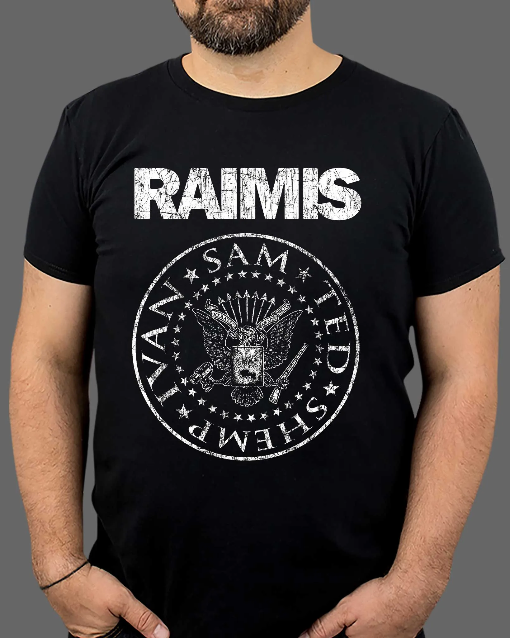 Raimis